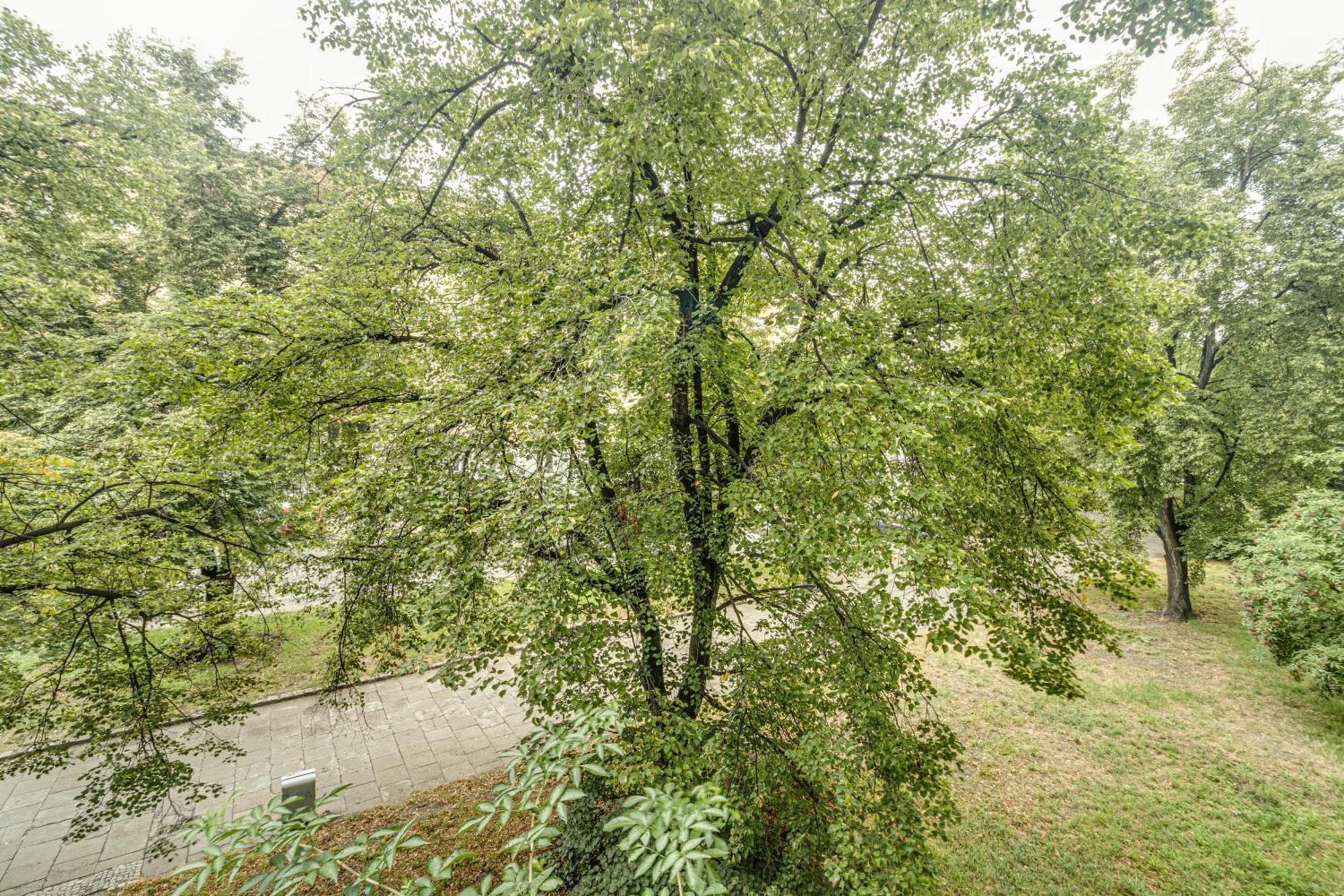 Rentplanet - Apartament Kosciuszki Wrocław Eksteriør billede