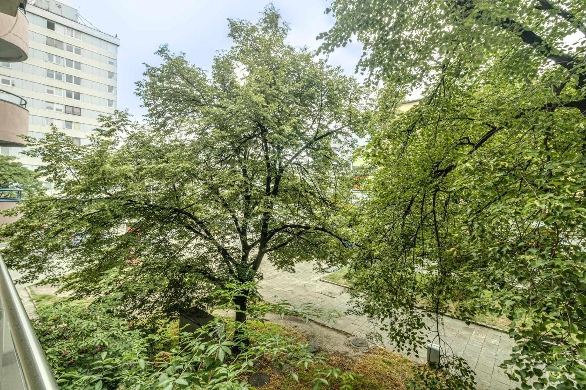 Rentplanet - Apartament Kosciuszki Wrocław Eksteriør billede
